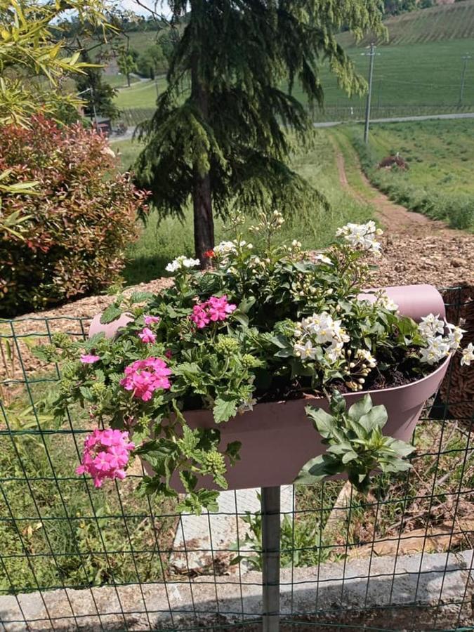 Bb Lady Bed & Breakfast Castelvetro di Modena Luaran gambar