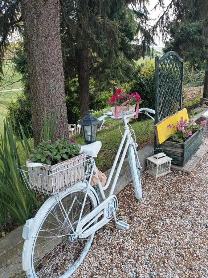 Bb Lady Bed & Breakfast Castelvetro di Modena Luaran gambar