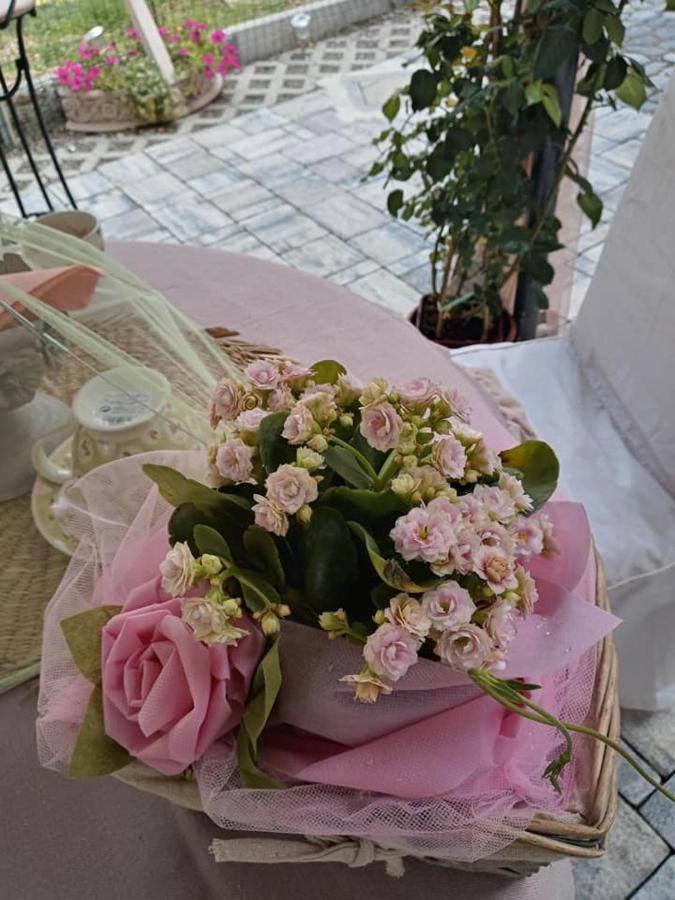 Bb Lady Bed & Breakfast Castelvetro di Modena Luaran gambar